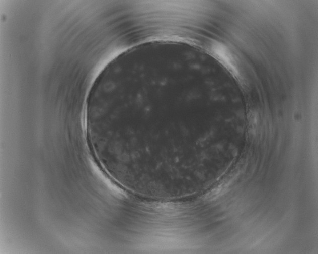 X0000088591084200705251143