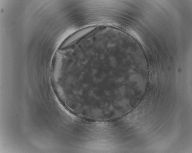 X0000088591087200705251143