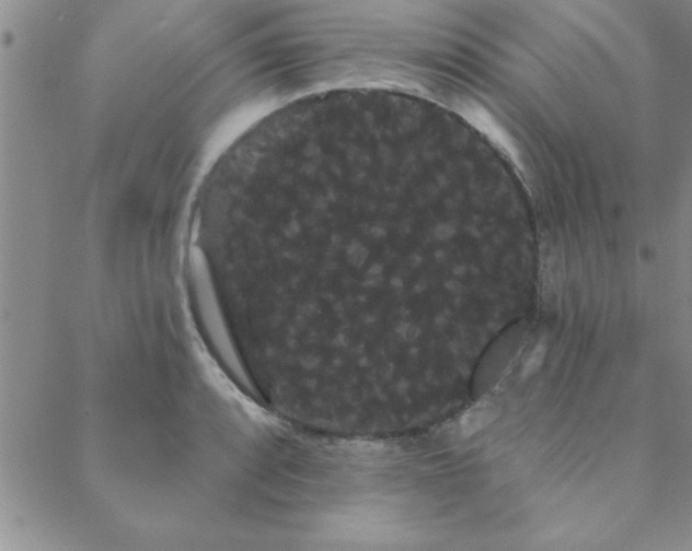 X0000088591088200705251143