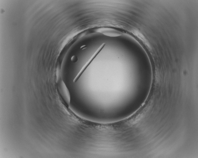 X0000088591089200705251143