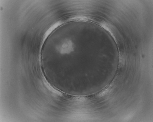 X0000088591090200705251143