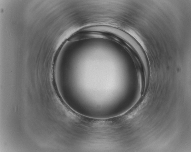 X0000088591093200705251143