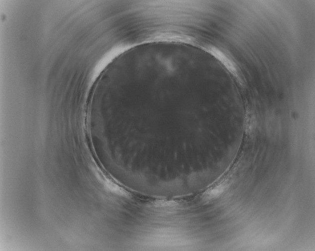 X0000088591094200705251143