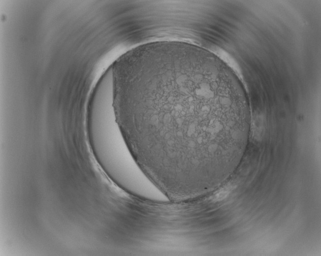 X0000088591096200705251143