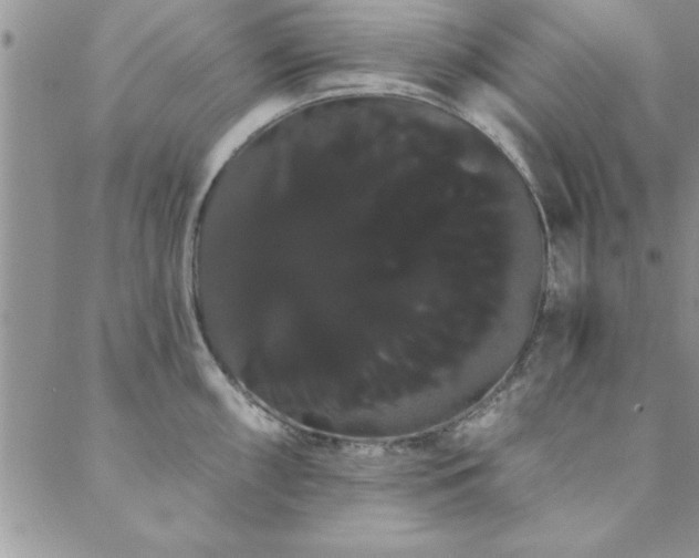 X0000088591098200705251143