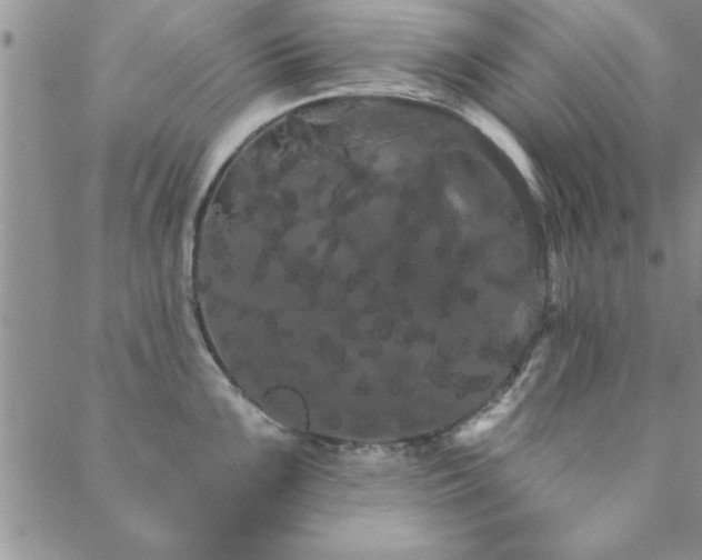 X0000088591099200705251143