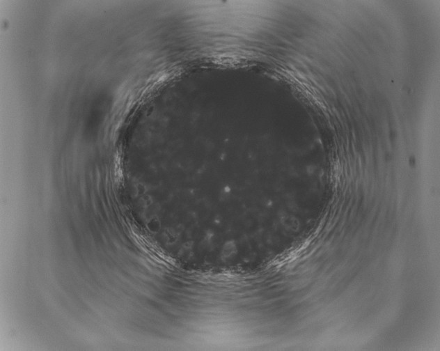 X0000088591106200705251142