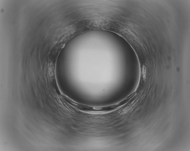 X0000088591107200705251142