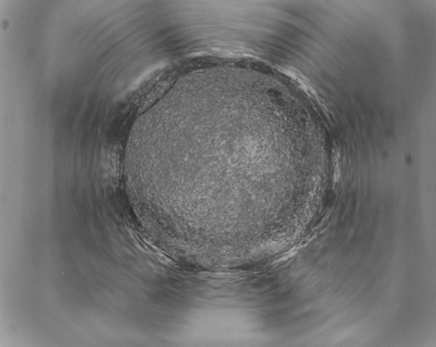 X0000088591110200705251142