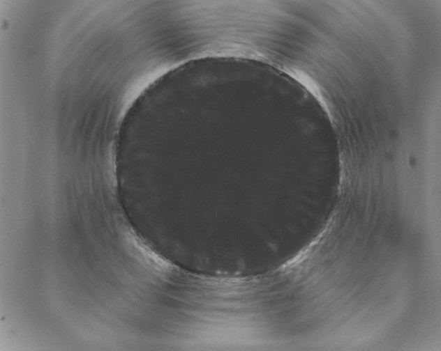 X0000088591120200705251142