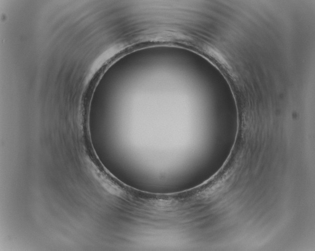 X0000088591122200705251142