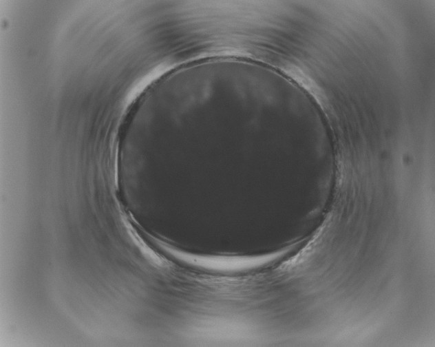 X0000088591127200705251142