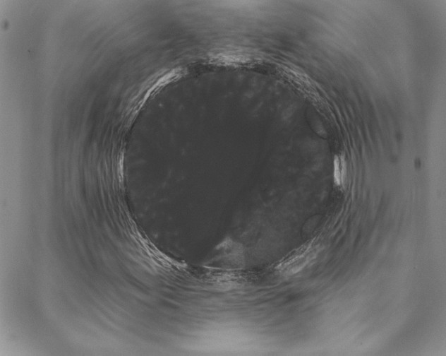 X0000088591155200705251142
