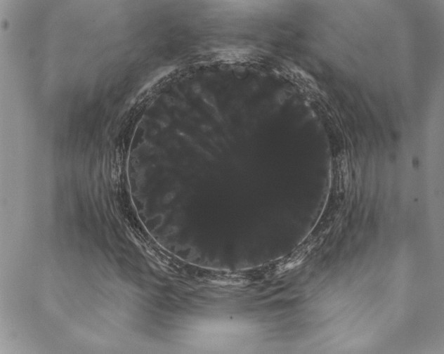 X0000088591158200705251142