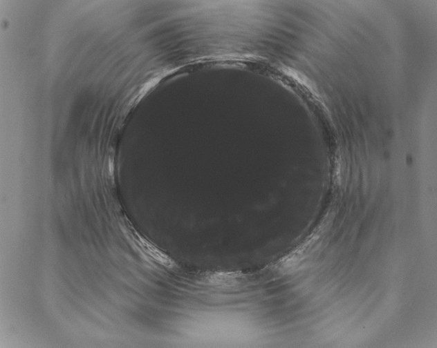 X0000088591161200705251142