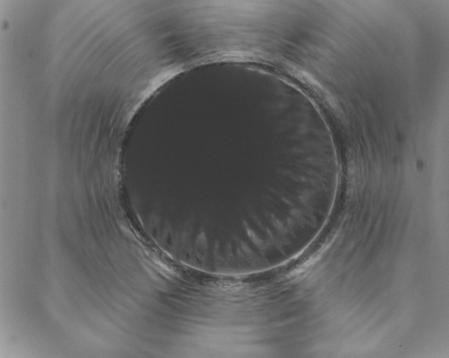 X0000088591170200705251141