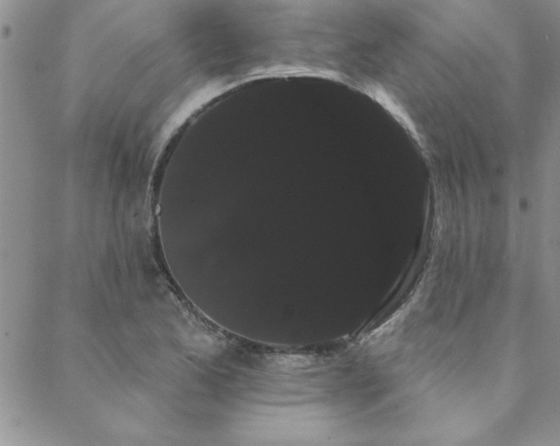 X0000088591173200705251141