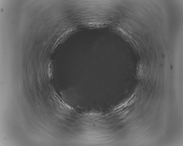 X0000088591202200705251140