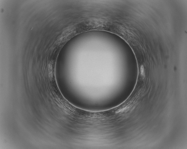 X0000088591203200705251140