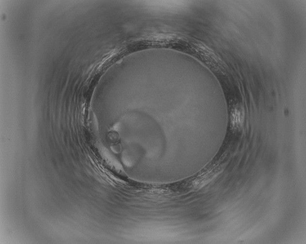 X0000088591204200705251140