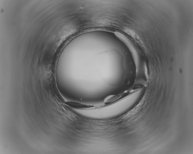 X0000088591210200705251140