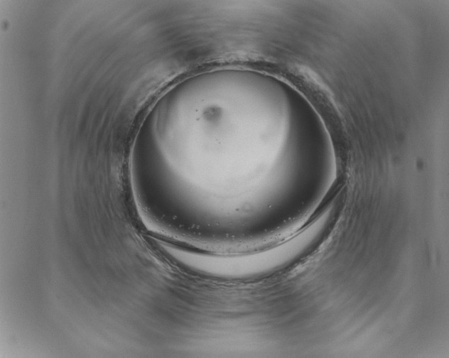 X0000088591217200705251140