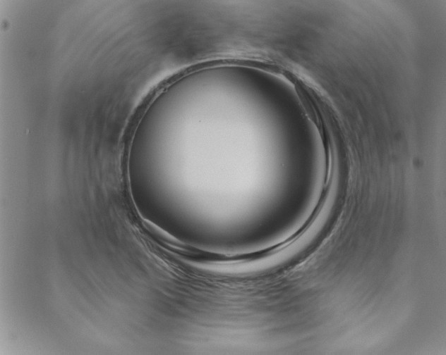 X0000088591222200705251140