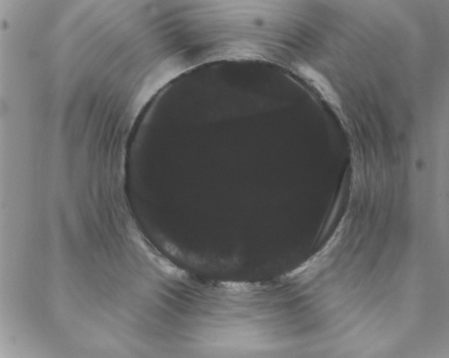 X0000088591226200705251141