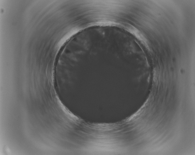 X0000088591229200705251141