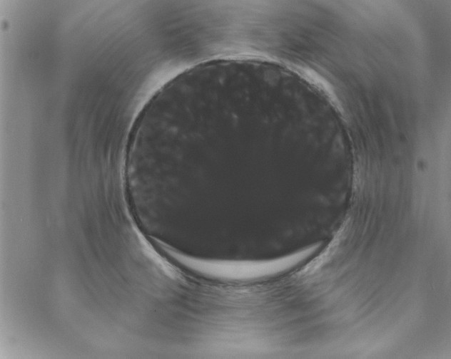 X0000088591231200705251141