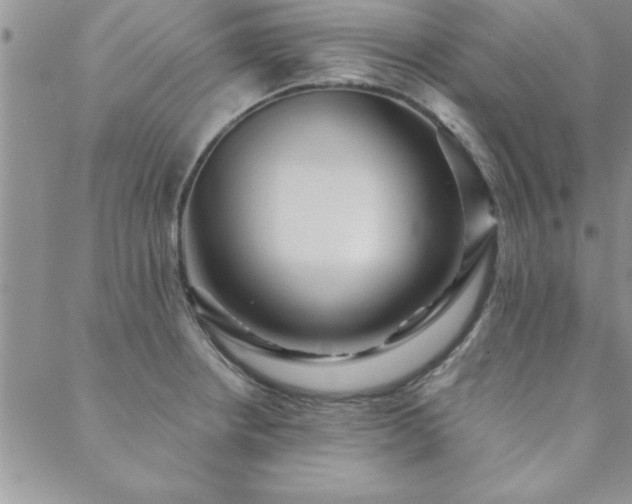 X0000088591234200705251141