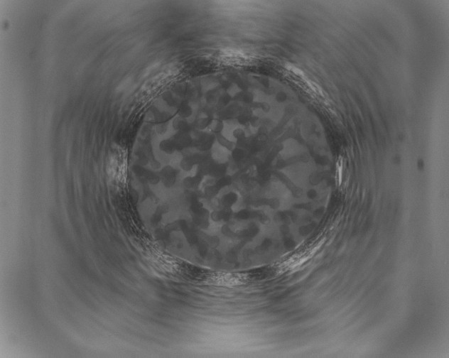 X0000088591251200705251140