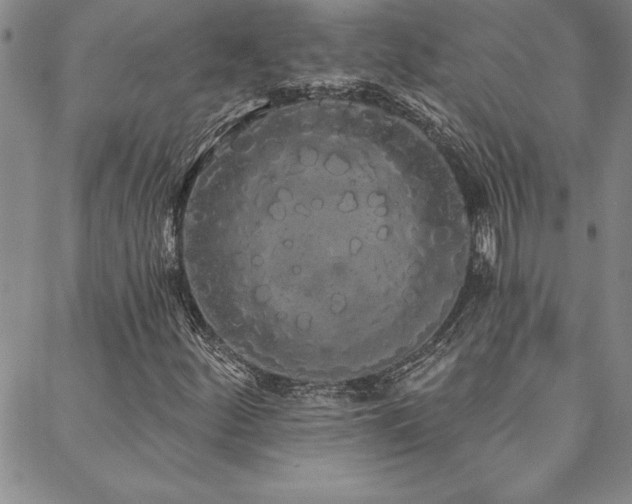 X0000088591252200705251140