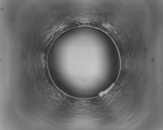 X0000088591253200705251140