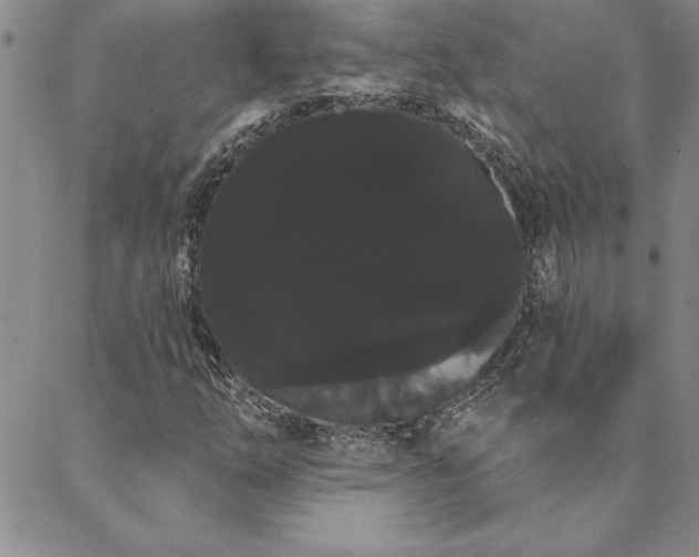 X0000088591254200705251140