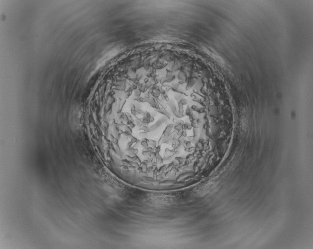 X0000088591258200705251140