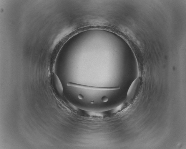 X0000088591261200705251140