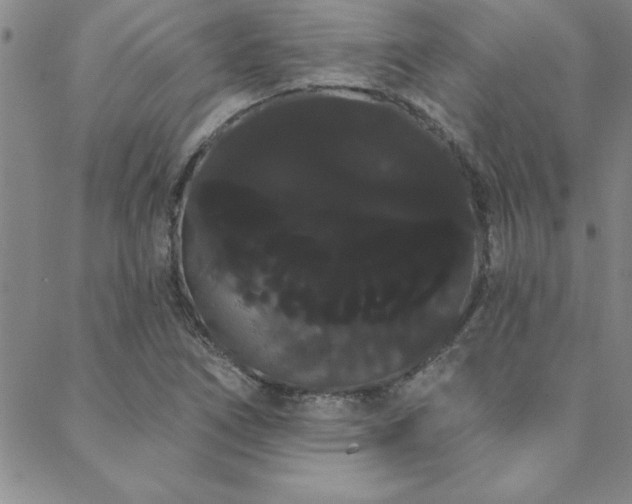 X0000088591266200705251140