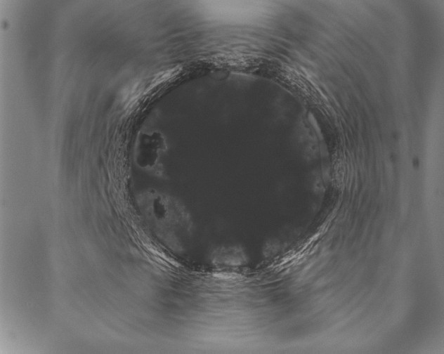 X0000088591297200705251139
