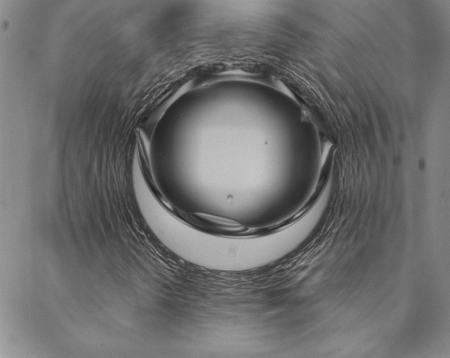 X0000088591298200705251139