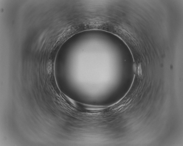 X0000088591299200705251139