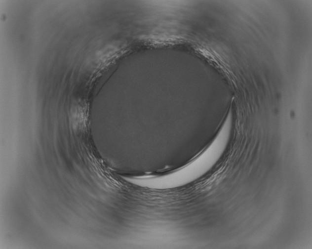 X0000088591300200705251139
