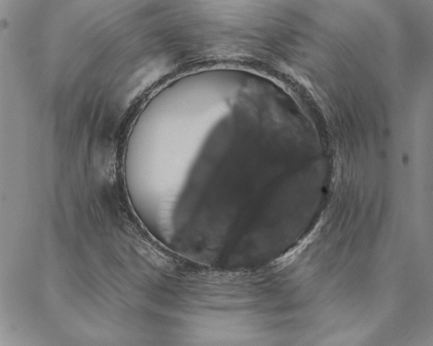 X0000088591306200705251139