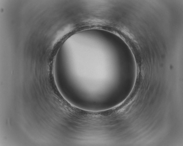 X0000088591309200705251139