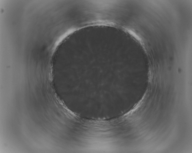 X0000088591310200705251139