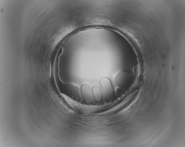 X0000088591317200705251139