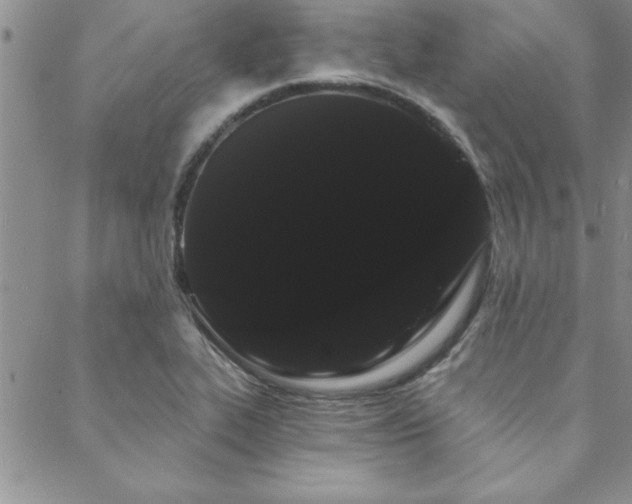 X0000088591319200705251139