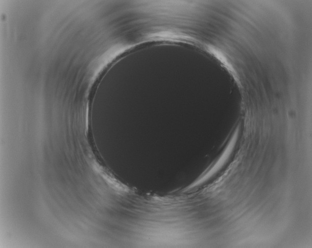 X0000088591323200705251139