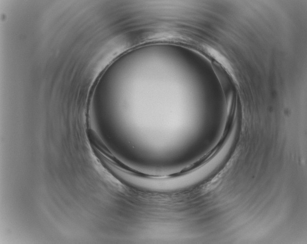X0000088591330200705251139