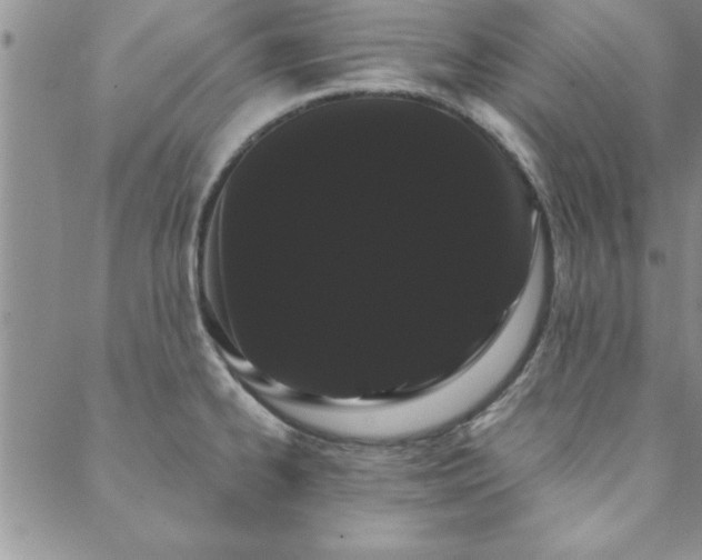 X0000088591334200705251139